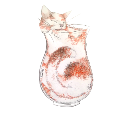 © DPG / Tobias Roth 063-Tobias-Roth-Fluessige-Katze.png