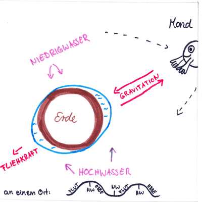 © DPG / Kristin Pump 060-Kristin-Pump-Gezeiten.PNG