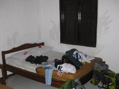 Treuer Begleiter.jpg