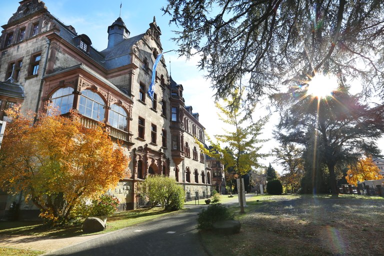 Foto 009.JPG Foto 009.JPG