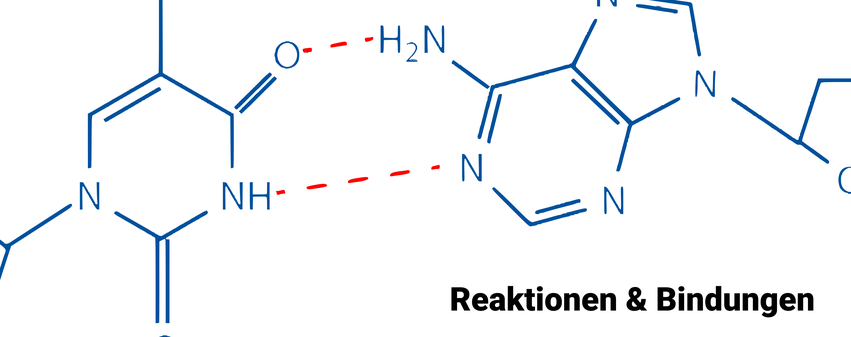reaktionen.png reaktionen.png