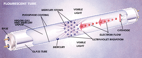 Flourescent_tube.gif