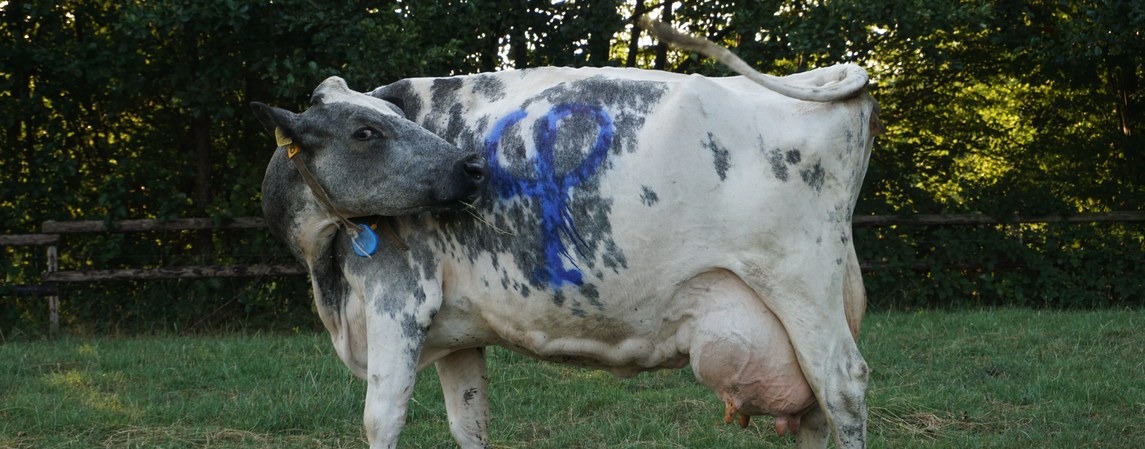 Das sollte so nicht sein. Schreib uns eine Mail, falls etwas nicht funktioniert!