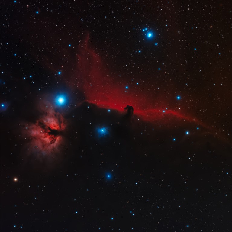 Horsehead von Constantin Walz