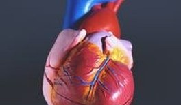 Preis für Schülerforscher aus Hannover