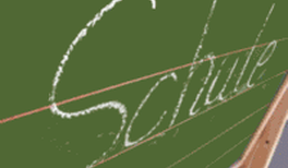 Naturwissenschaftler: Stundenstreichungen im achtjährigen Gymnasium gefährden Zukunftsfähigkeit unseres Landes