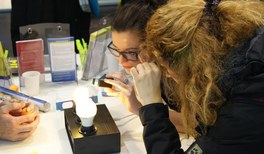 Föhn-Ping-Pong und Flaschenteufel