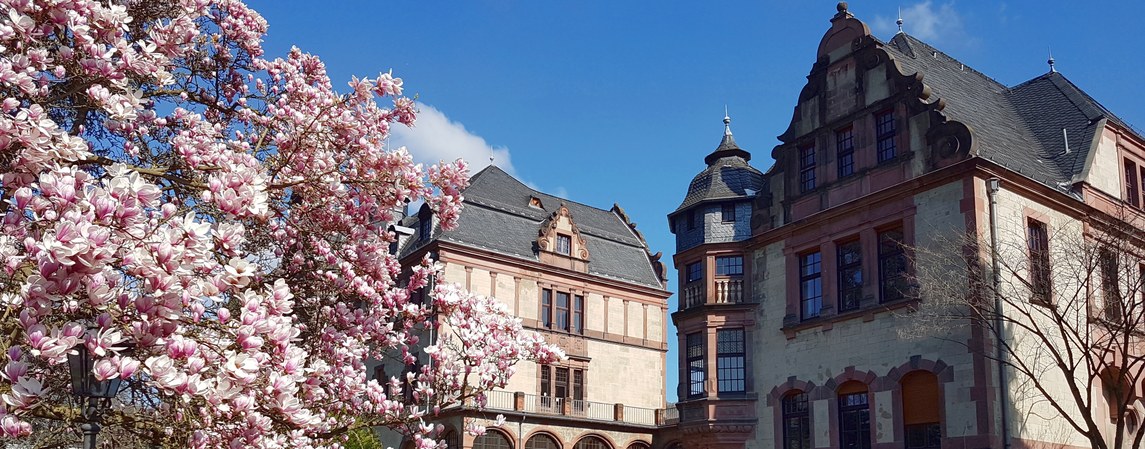 Woher das „Nizza am Rhein“ seinen Zusatznamen hat …