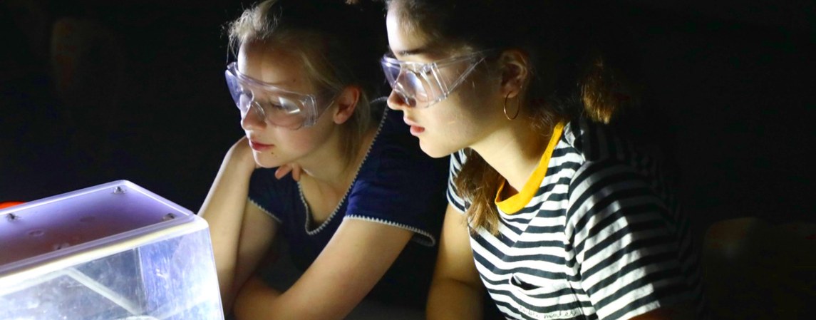 Highschool-Students Internship Programme (HSSIP) für Deutschland