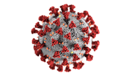 Corona: Die Suche nach passenden Wirkstoffen