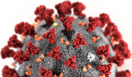 DPG in Zeiten der Corona-Pandemie