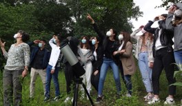 Ein Blick in die Sterne