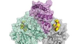 Teilchenbeschleuniger gegen Corona