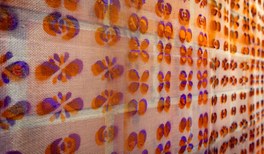 WIESO, WESHALB, WARUM_Foto-Nicolas-Wöhrl.jpg