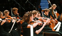 255 Q 100 Sa DSC_1783.jpg