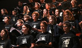 348 Q 100 Sa DSC_1950.jpg