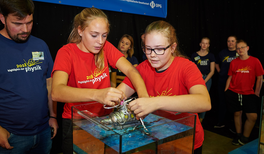 Wurfmaschine, Tauchboot oder Musikbox